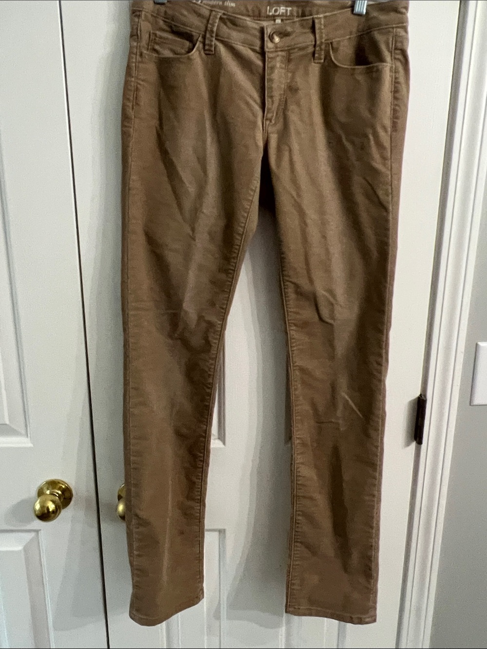 LOFT Straight-Leg Pants in Brown